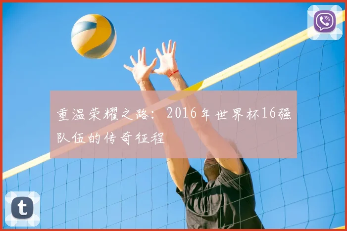 重温荣耀之路：2016年世界杯16强队伍的传奇征程