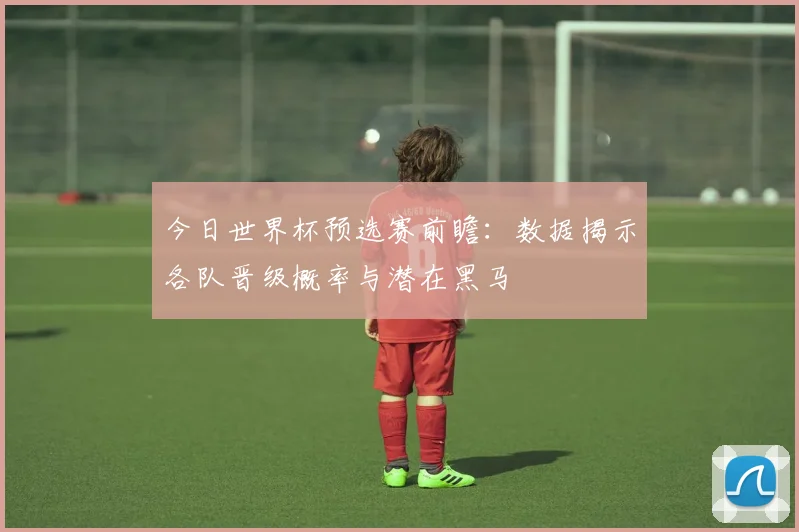 今日世界杯预选赛前瞻：数据揭示各队晋级概率与潜在黑马